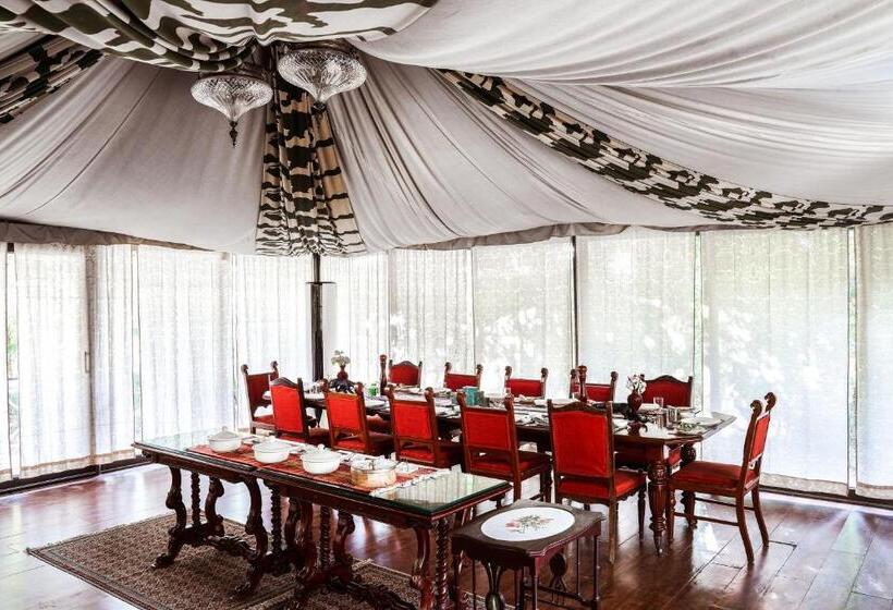 渡假胜地  Bagh Tola, Bandhavgarh Tiger Reserve