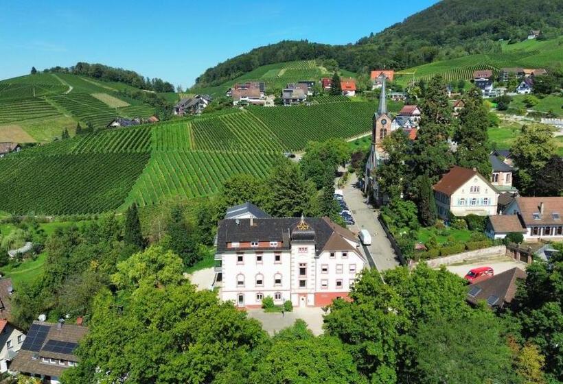 Living Timeless   Adler Apartments Sasbachwalden