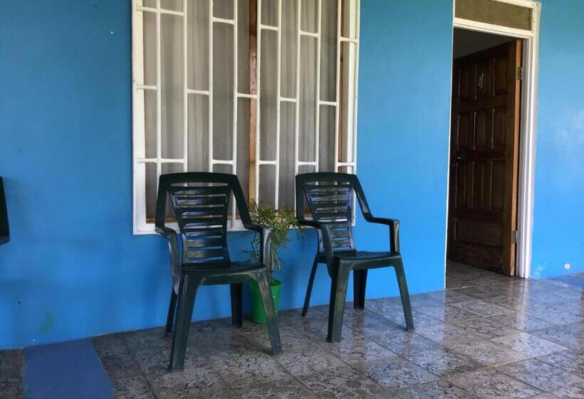 هاستل Palmera Rooms Caribe