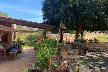 تختخواب و صبحانه Studio Doppelzimmer 2 Pers Mit Terrasse Und Pool Auf Finca Mallorca