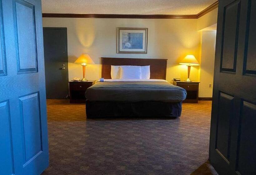 هتل Dominion Inn & Suites