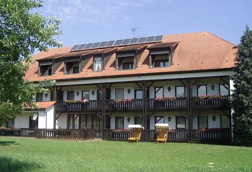 Отель Gasthof Pension Grüne Au