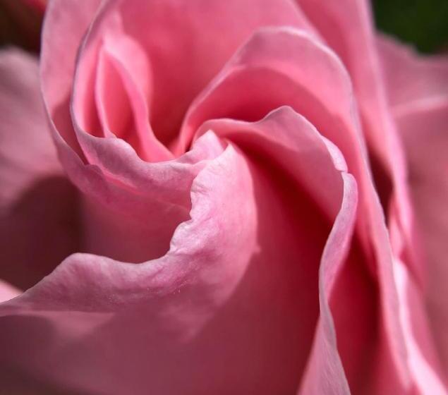 펜션 Il Rifugio Delle Rose