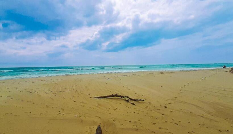 펜션 Queen S Villa