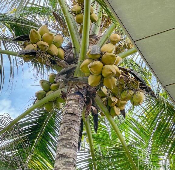 膳宿费 The Beach Gate Villa