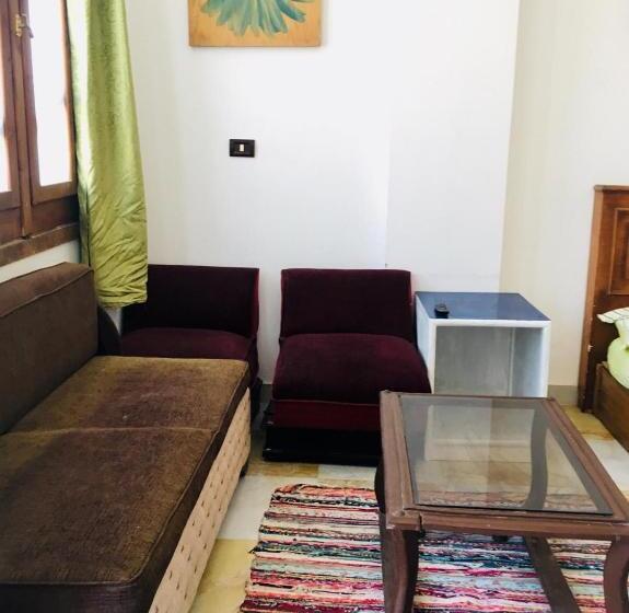 پانسیون The Loft
