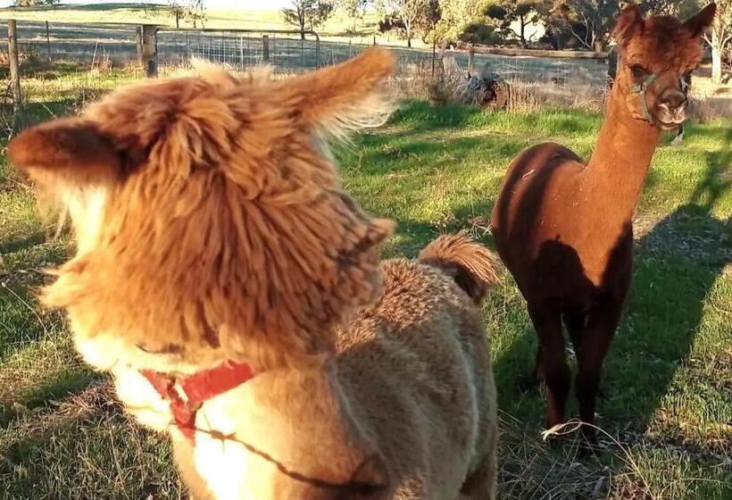 住宿加早餐  It S Bonza! At Mill About Vineyard