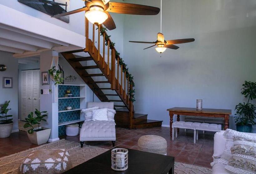 Cruz Bay Tropical Condo