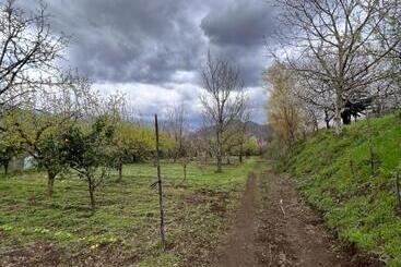 هتل Azienda Agricola Zootecnica Soriente Di Guglielmo Areh Soriente & C.s.a.s