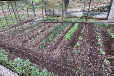 هتل Azienda Agricola Zootecnica Soriente Di Guglielmo Areh Soriente & C.s.a.s