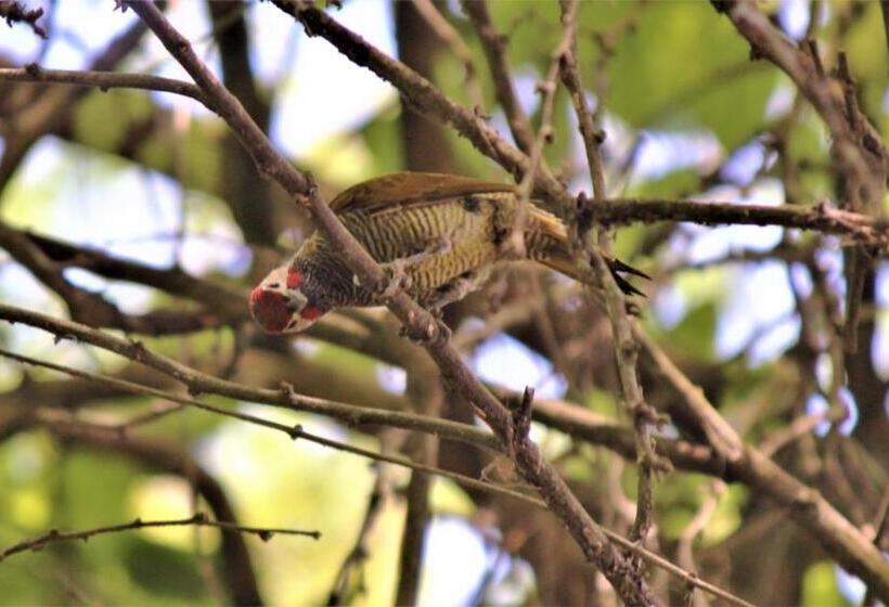 فندق Itapoa Reserve