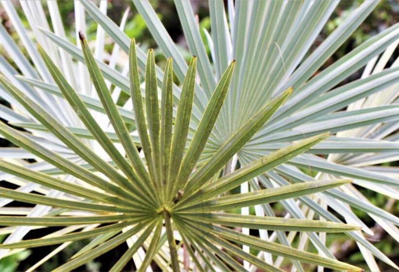 فندق Itapoa Reserve