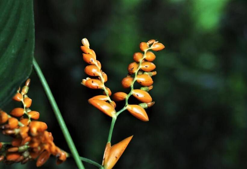 فندق Itapoa Reserve