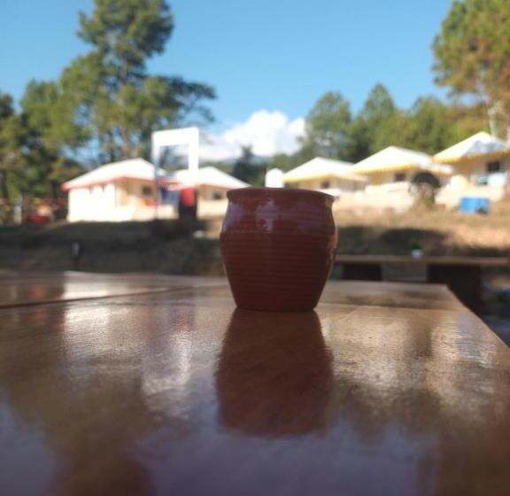 호텔 Nirvana Eco Camp, Bir