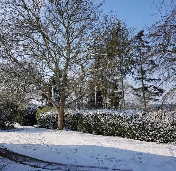 مبيت وإفطار Renard Retreat