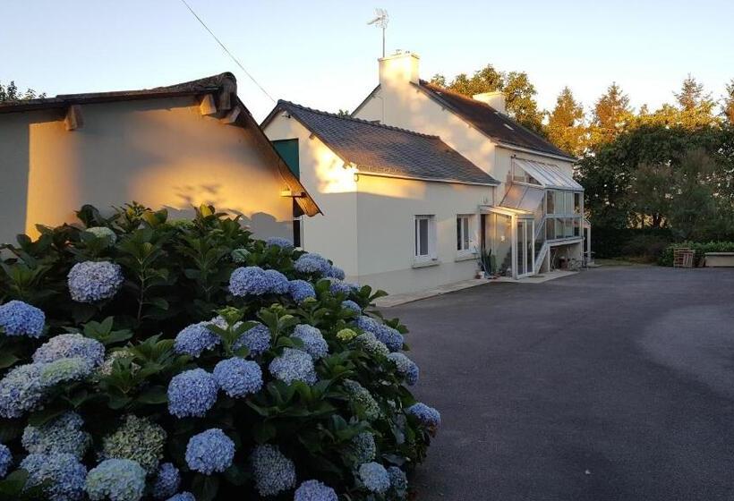 住宿加早餐  Renard Retreat