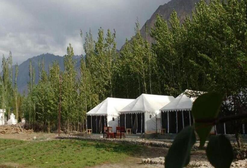 민박 Terrain Ladakh Camping