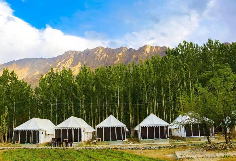 민박 Terrain Ladakh Camping
