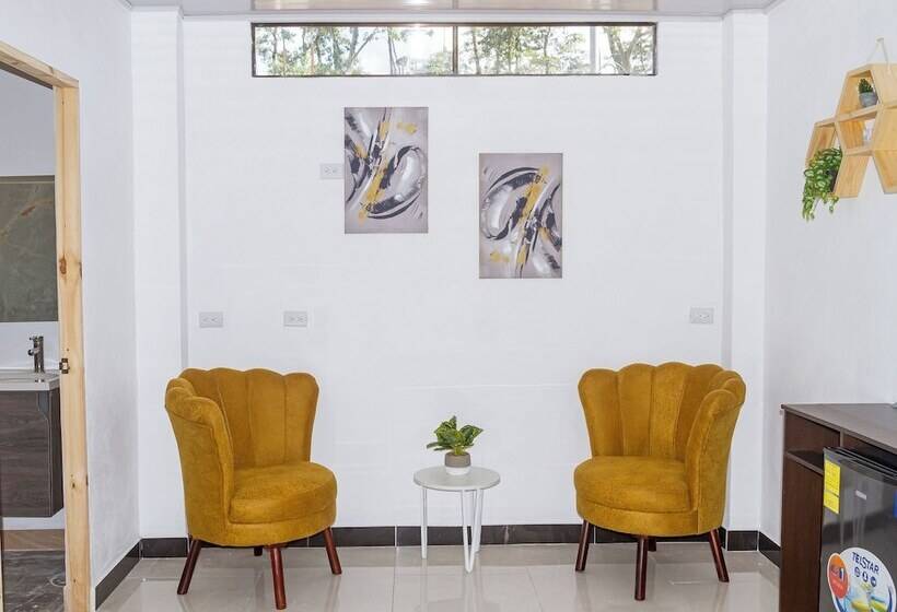 فندق Ballena Rey