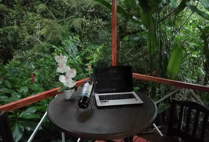 هتل Cabinas Ecogarden Arenal