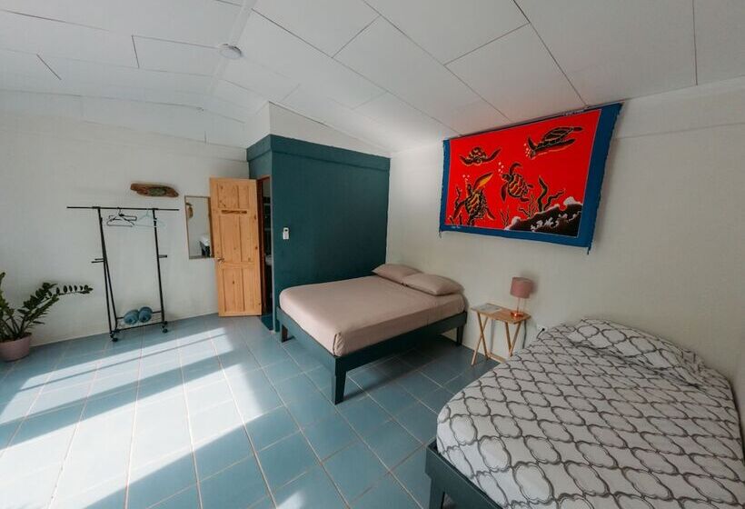 فندق Rooms & Pool Macaws