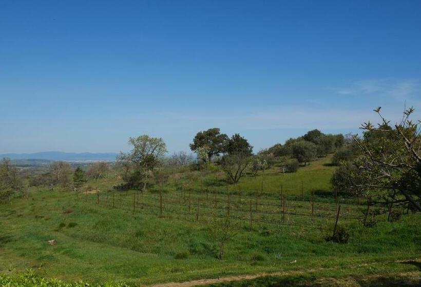 فندق Tenuta Le Mandorlaie, Agriturismo In Scansano