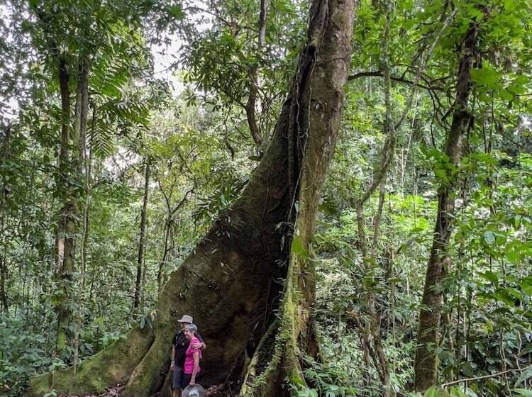 فندق Veragua Rainforest Lodge