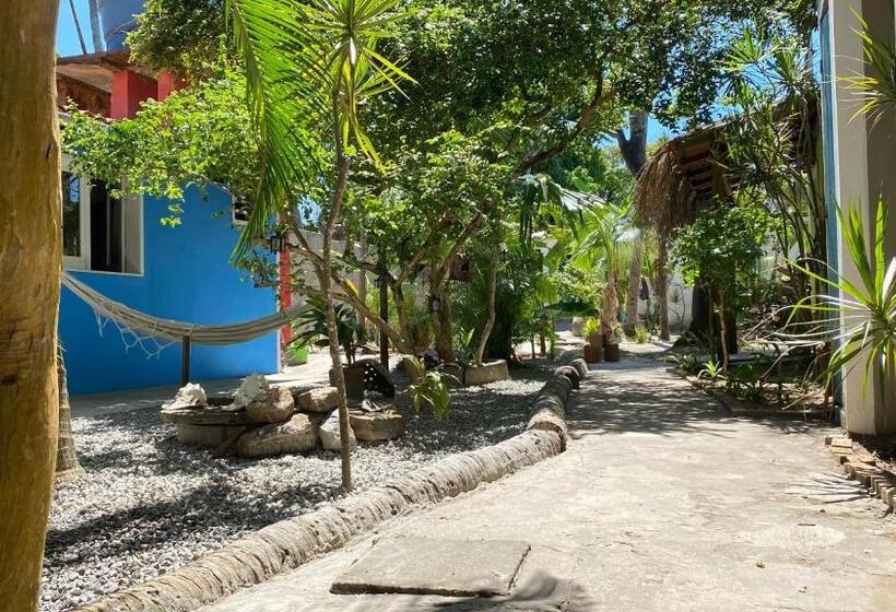 بنسيون A Casa Do Vizinho