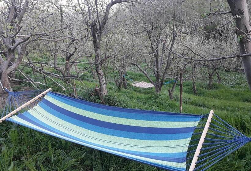 پانسیون Aghveran Eco Guest House
