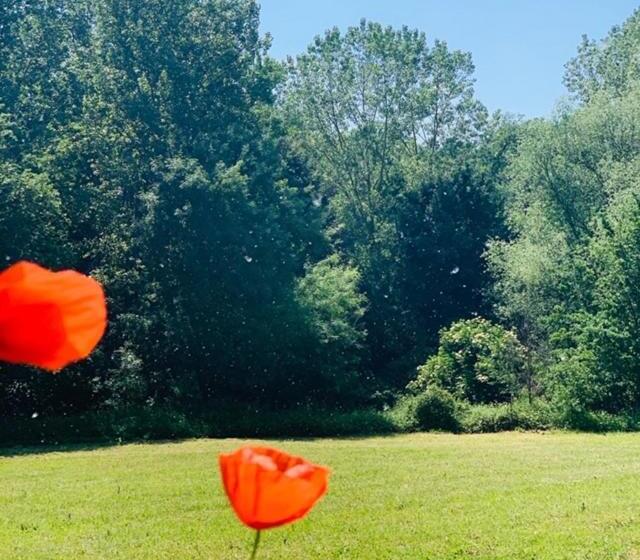 פנסיון La Maison D  Hote Du Fond Du Riu