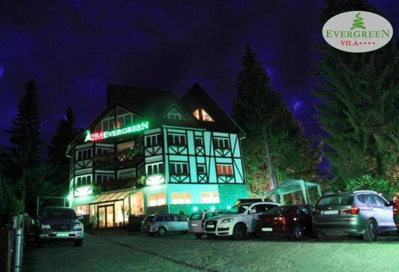 بنسيون Vila Evergreen