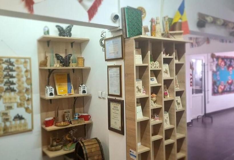 Pensiunea Runcu Stone