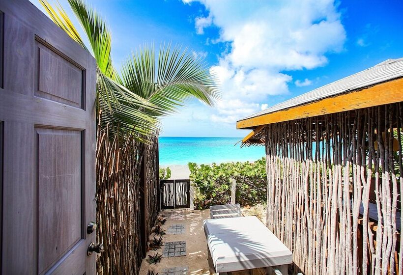 هتل Conch Beach Cabins   Rumbus Beach