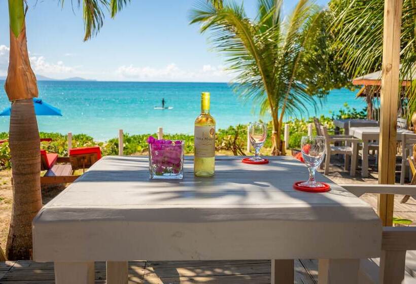 هتل Conch Beach Cabins   Rumbus Beach
