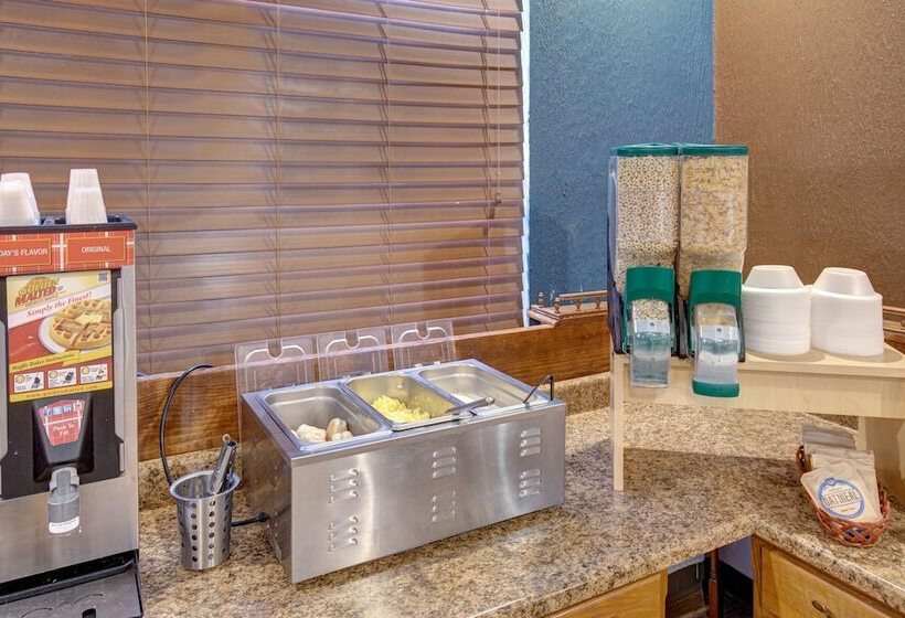 ホテル Ramada By Wyndham Branson Theatre District