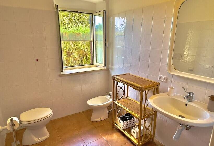 فندق ريفى Carpine Agriturismo Bio In Maremma