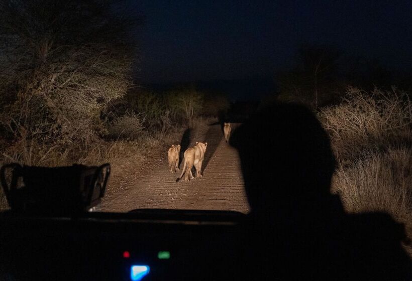 فندق Simbavati Homestead