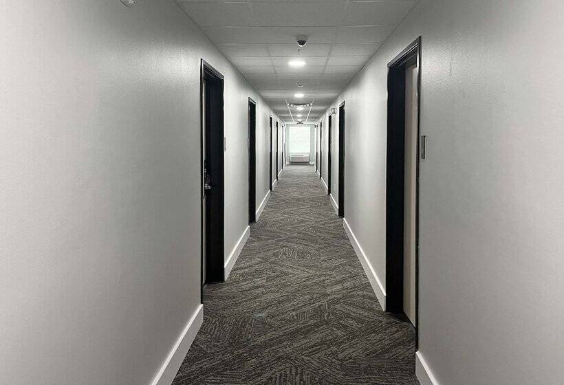 בית מלון כפרי Studio 6 Gonzales, La Baton Rouge Geismar Prairieville I 10