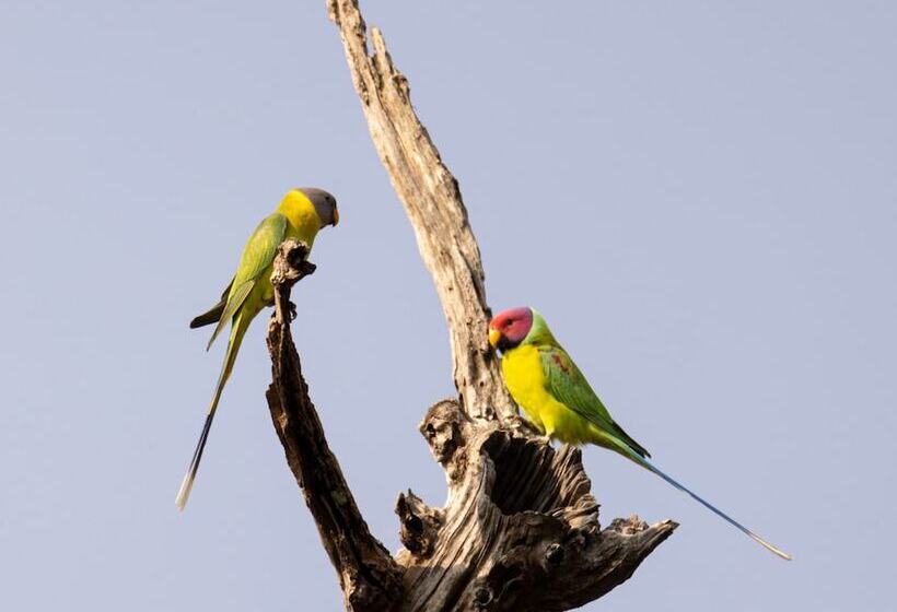 ホテル The Untamed Bandhavgarh By Tutc