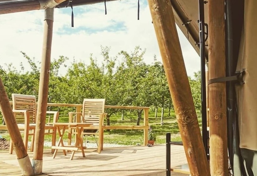 호텔 Torre Cider Farm