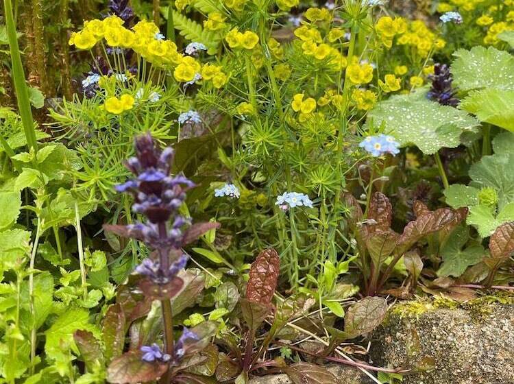 إقامة 4 Bed House In Wetherby, Sleeps 8, Near York