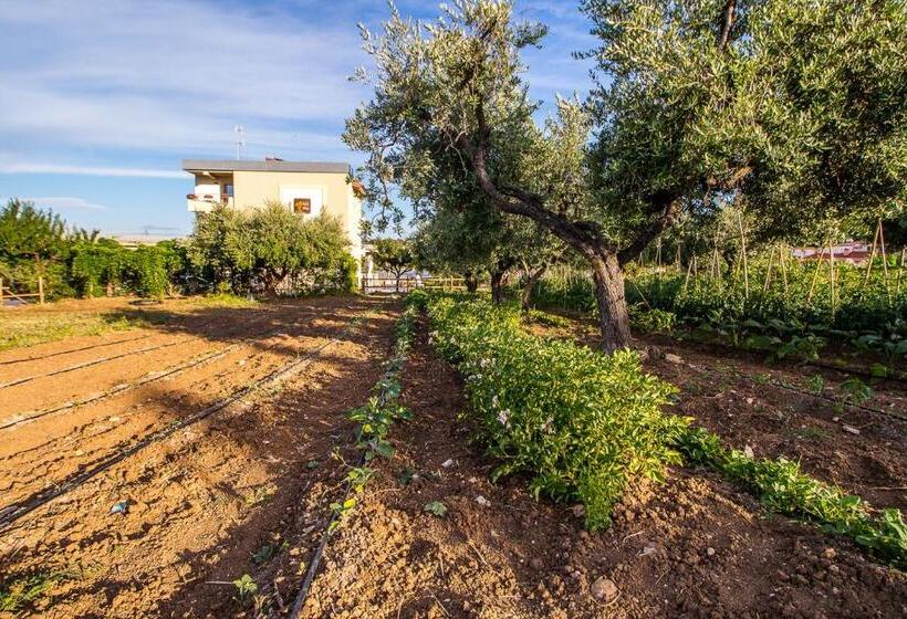 تختخواب و صبحانه Il Gallo Con Gli Stivali