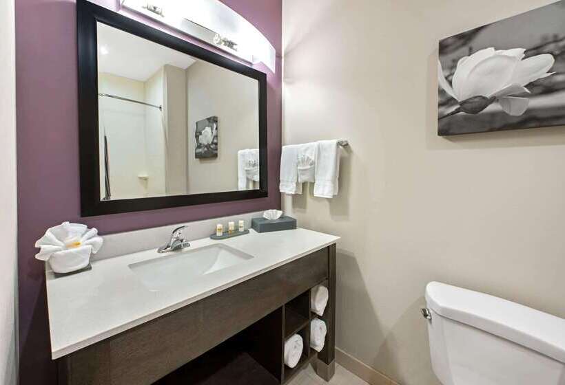 בית מלון כפרי La Quinta By Wyndham Lake Charles   Westlake