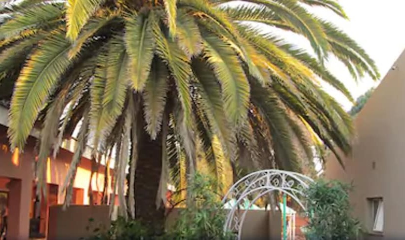 Oasis Motel