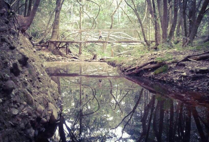 Woodlands Self Catering