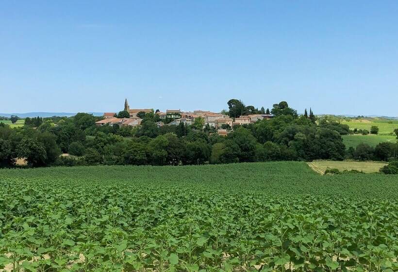 Pax & Amor   Boutique B&b