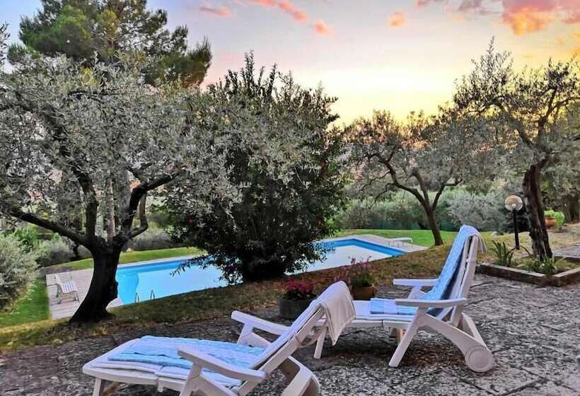 پانسیون Villa Lavania