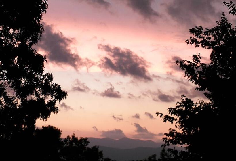 Woodsy Sky Valley Cottage, 8 Mi To Dillard!