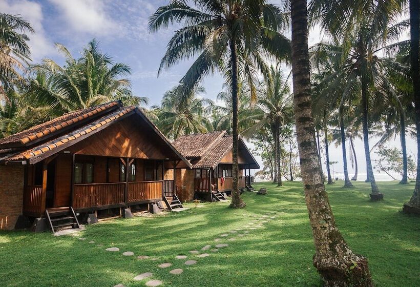 هتل Sumatra Surf Resort