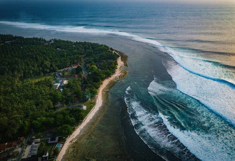 هتل Sumatra Surf Resort